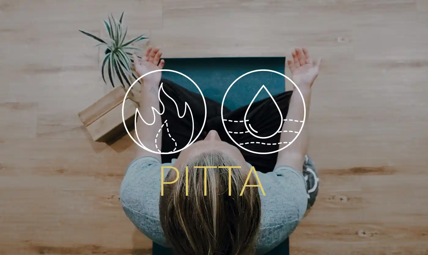 Pitta Banner Image